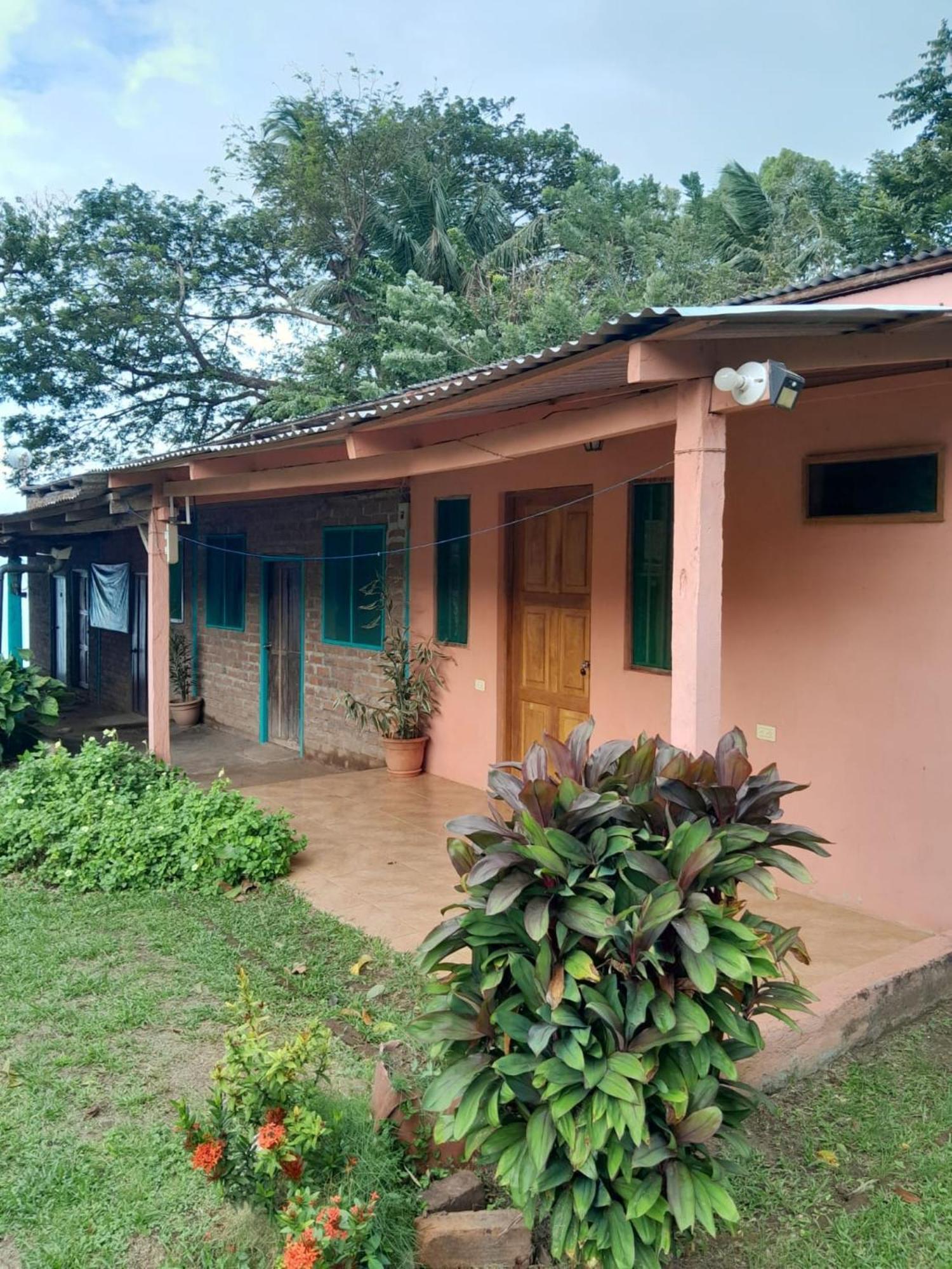 Hostel Los Chocoyos Mérida Exteriör bild